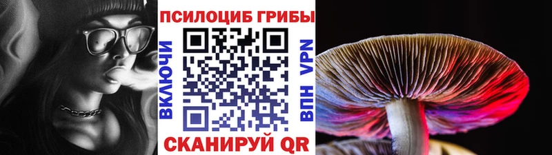 Галлюциногенные грибы GOLDEN TEACHER  Соль-Илецк 